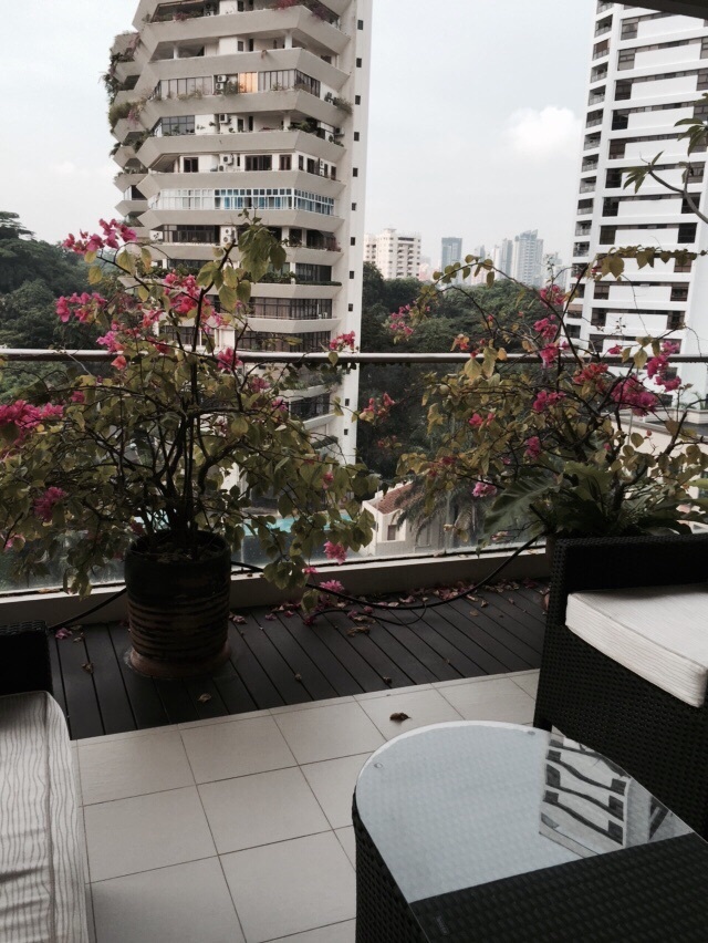 Bellerive (D10), Apartment #80275022